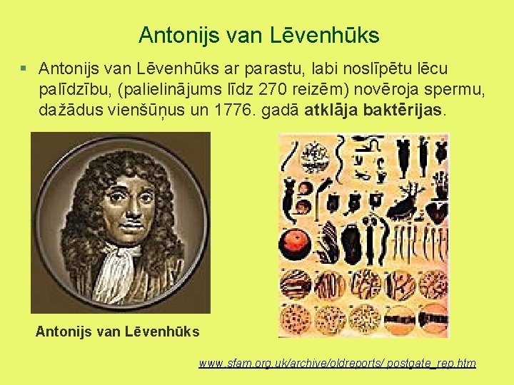 Antonijs van Lēvenhūks § Antonijs van Lēvenhūks ar parastu, labi noslīpētu lēcu palīdzību, (palielinājums