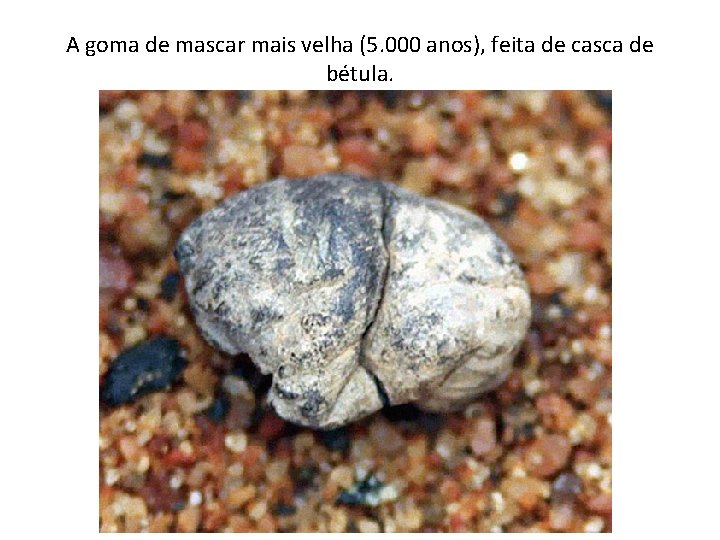 A goma de mascar mais velha (5. 000 anos), feita de casca de bétula.