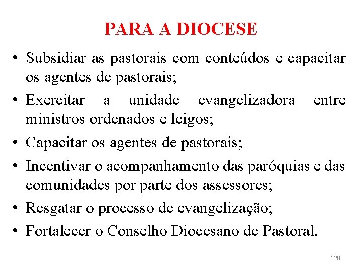 PARA A DIOCESE • Subsidiar as pastorais com conteúdos e capacitar os agentes de