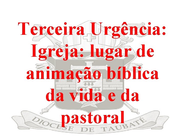 Terceira Urgência: Igreja: lugar de animação bíblica da vida e da pastoral 