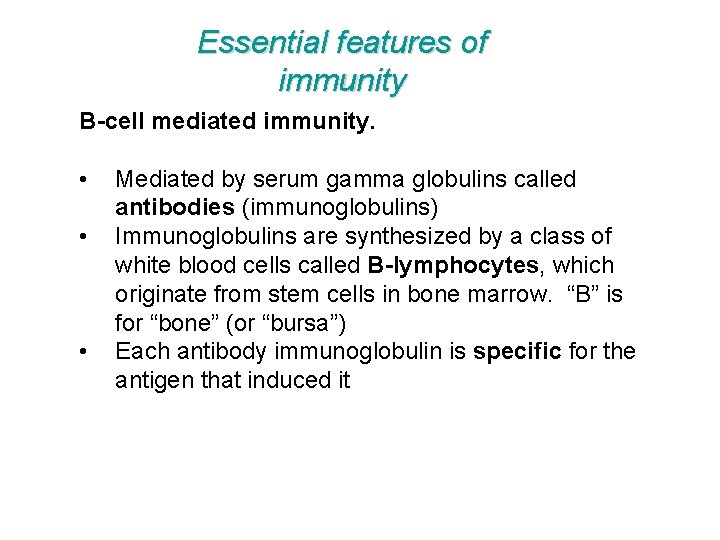 Essential features of immunity B-cell mediated immunity. • • • Mediated by serum gamma