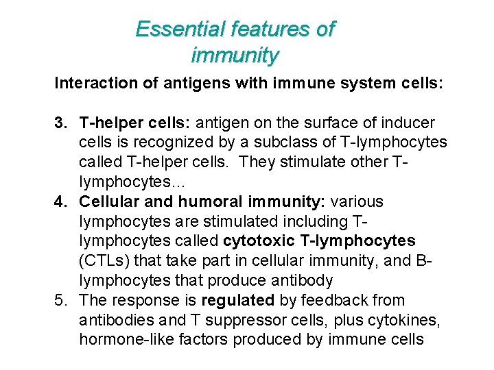 Essential features of immunity Interaction of antigens with immune system cells: 3. T-helper cells: