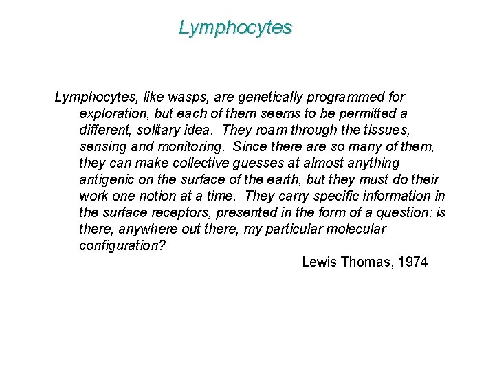 Lymphocytes, like wasps, are genetically programmed for exploration, but each of them seems to