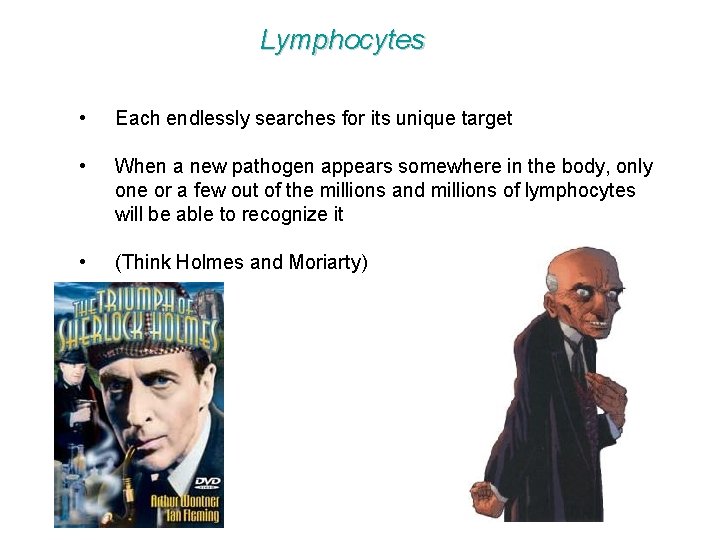Lymphocytes • Each endlessly searches for its unique target • When a new pathogen