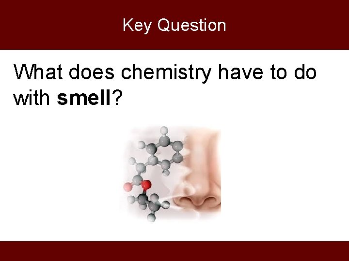 Key Question What does chemistry have to do with smell? 