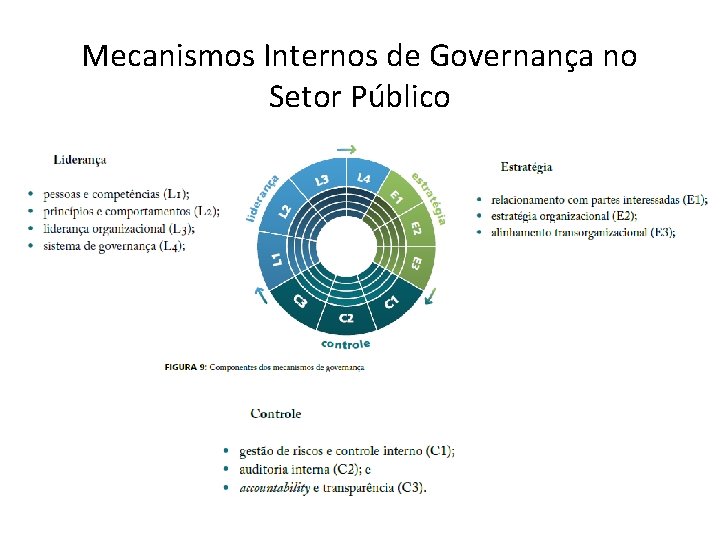 Mecanismos Internos de Governança no Setor Público 