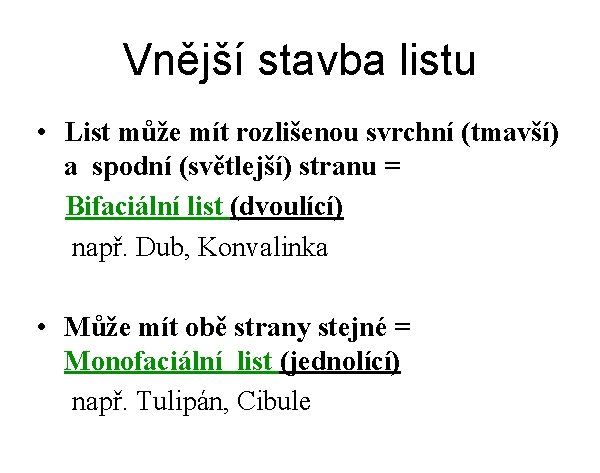 Vnější stavba listu • List může mít rozlišenou svrchní (tmavší) a spodní (světlejší) stranu