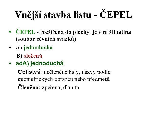 Vnější stavba listu - ČEPEL • ČEPEL - rozšířena do plochy, je v ní