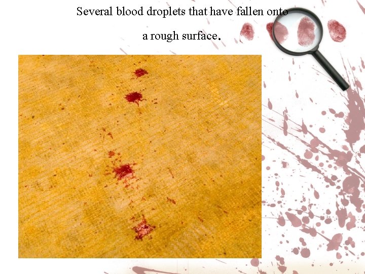 Several blood droplets that have fallen onto a rough surface . Several blood droplets that have fallen onto a rough surface .