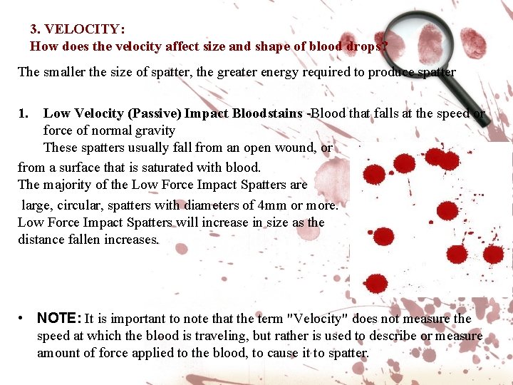3. VELOCITY: How does the velocity affect size and shape of blood drops? The 3. VELOCITY: How does the velocity affect size and shape of blood drops? The