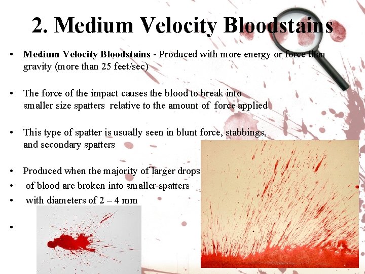 2. Medium Velocity Bloodstains • Medium Velocity Bloodstains - Produced with more energy or 2. Medium Velocity Bloodstains • Medium Velocity Bloodstains - Produced with more energy or