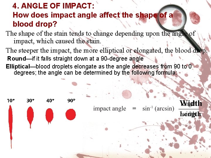 4. ANGLE OF IMPACT: How does impact angle affect the shape of a blood