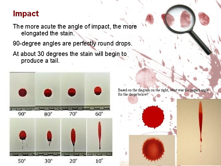 Impact The more acute the angle of impact, the more elongated the stain. 90 Impact The more acute the angle of impact, the more elongated the stain. 90