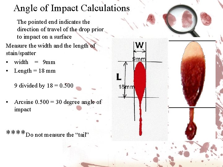 Angle of Impact Calculations The pointed end indicates the direction of travel of the Angle of Impact Calculations The pointed end indicates the direction of travel of the