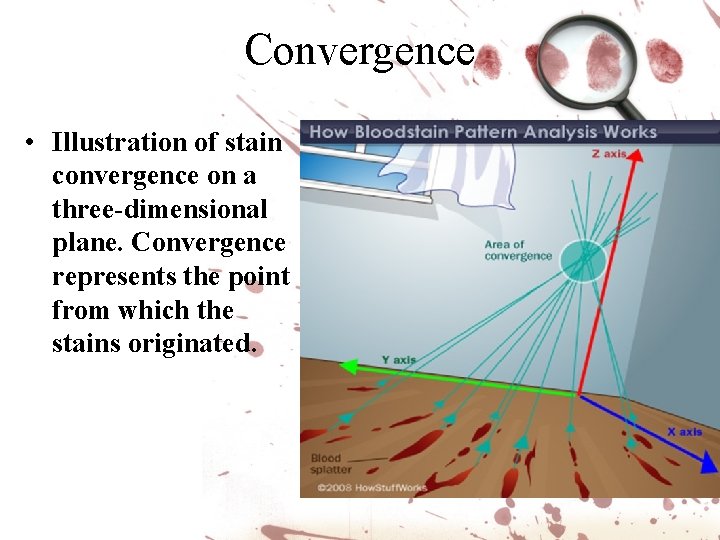 Convergence • Illustration of stain convergence on a three-dimensional plane. Convergence represents the point Convergence • Illustration of stain convergence on a three-dimensional plane. Convergence represents the point