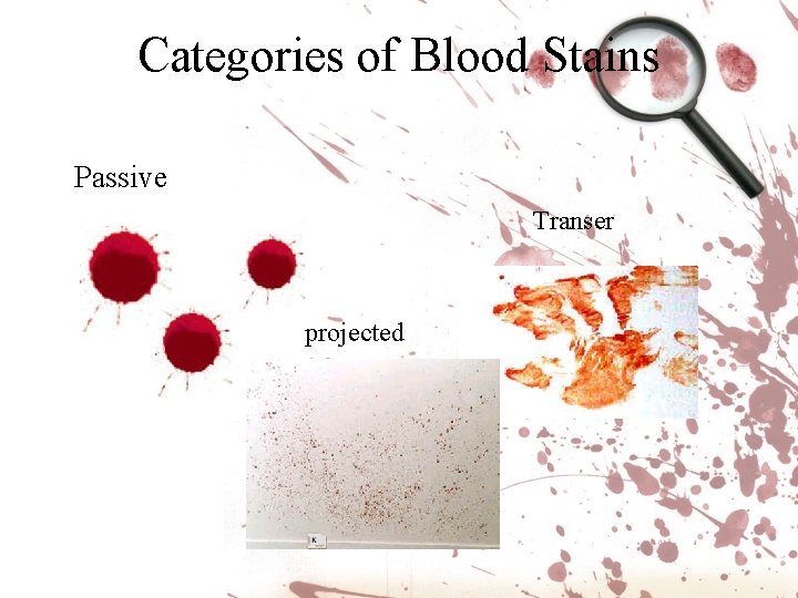 Categories of Blood Stains Passive Transer projected 