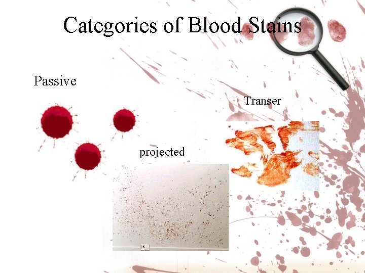 Categories of Blood Stains Passive Transer projected Categories of Blood Stains Passive Transer projected