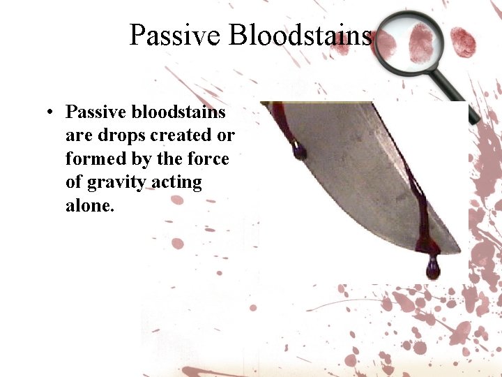 Passive Bloodstains • Passive bloodstains are drops created or formed by the force of Passive Bloodstains • Passive bloodstains are drops created or formed by the force of