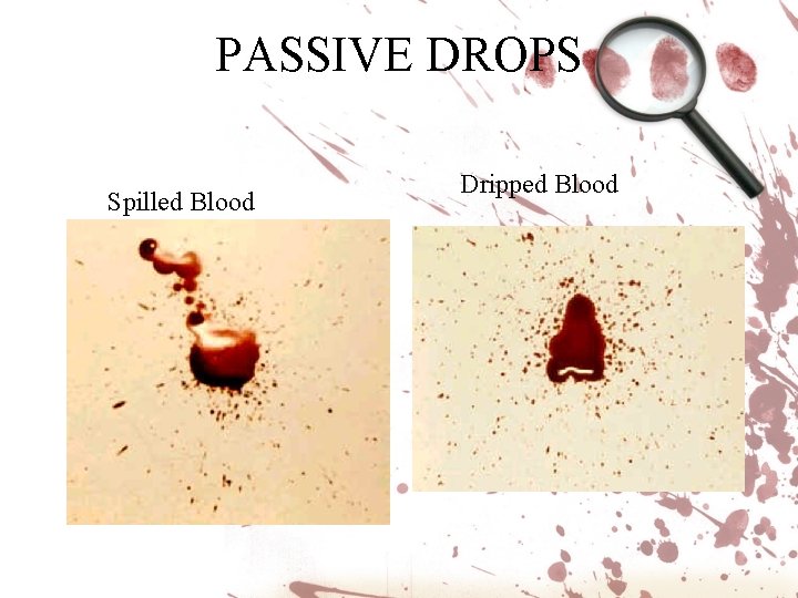 PASSIVE DROPS Spilled Blood Dripped Blood PASSIVE DROPS Spilled Blood Dripped Blood