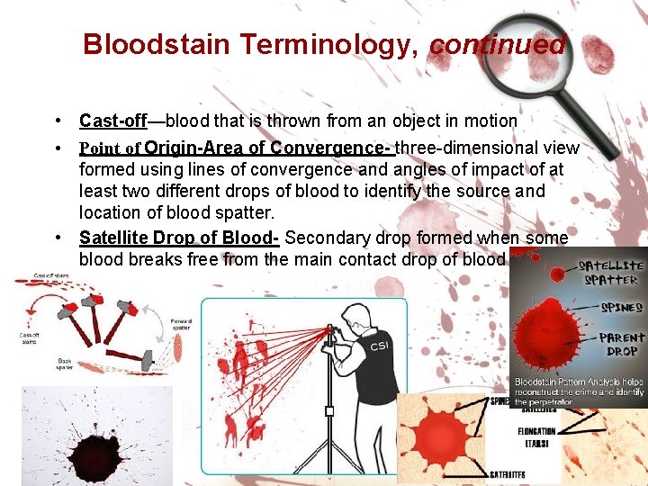 Bloodstain Terminology, continued • Cast-off—blood that is thrown from an object in motion •