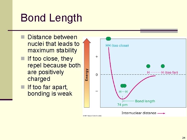 Bond Length n Distance between nuclei that leads to maximum stability n If too