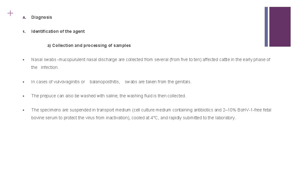 + A. Diagnosis 1. Identification of the agent a) Collection and processing of samples