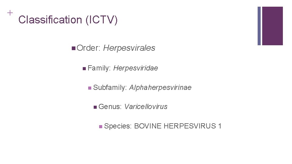 + Classification (ICTV) Order: Herpesvirales Family: Herpesviridae Subfamily: Alphaherpesvirinae Genus: Varicellovirus Species: BOVINE HERPESVIRUS