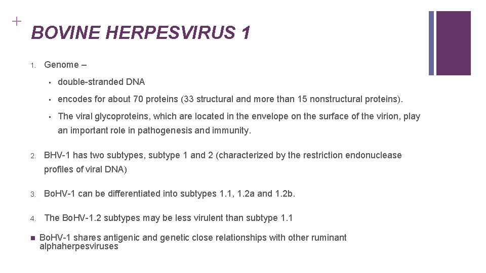 + BOVINE HERPESVIRUS 1 1. Genome – • double-stranded DNA • encodes for about