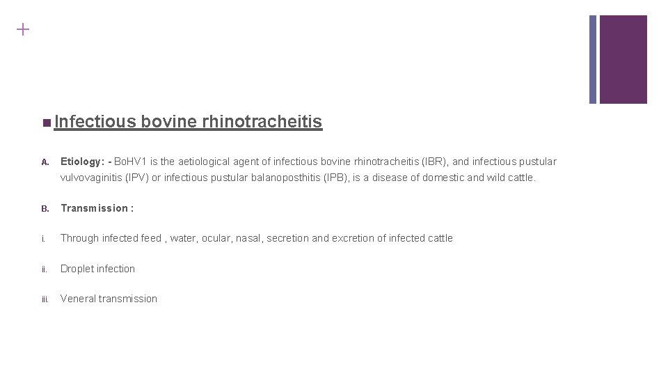 + Infectious A. bovine rhinotracheitis Etiology: - Bo. HV 1 is the aetiological agent