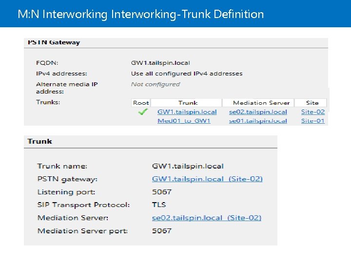 M: N Interworking-Trunk Definition 