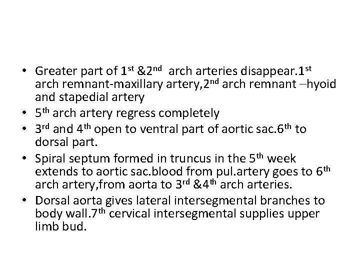  • Greater part of 1 st &2 nd arch arteries disappear. 1 st