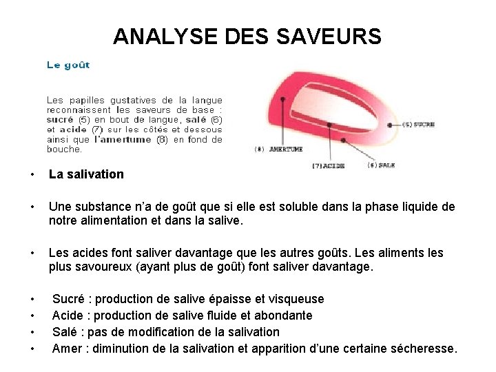 ANALYSE DES SAVEURS • La salivation • Une substance n’a de goût que si