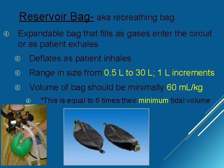 Reservoir Bag- aka rebreathing bag Expandable bag that fills as gases enter the circuit
