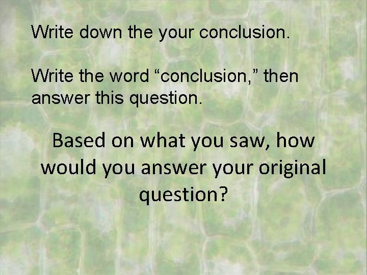 Write down the your conclusion. Write the word “conclusion, ” then answer this question.