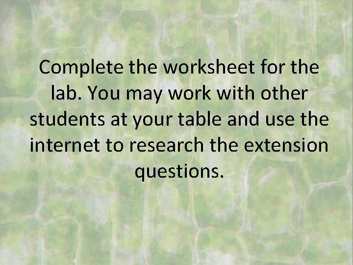 Complete the worksheet for the lab. You may work with other students at your