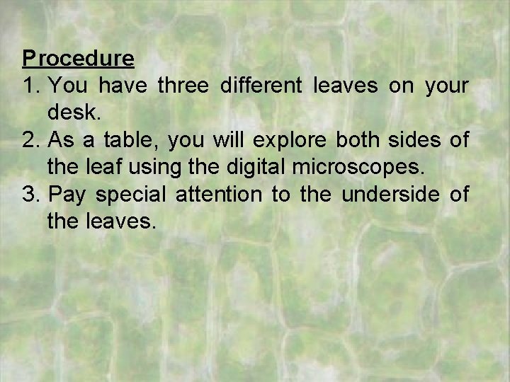 Procedure 1. You have three different leaves on your desk. 2. As a table,