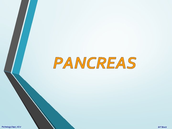 PANCREAS Pathology Dept, KSU GIT Block 