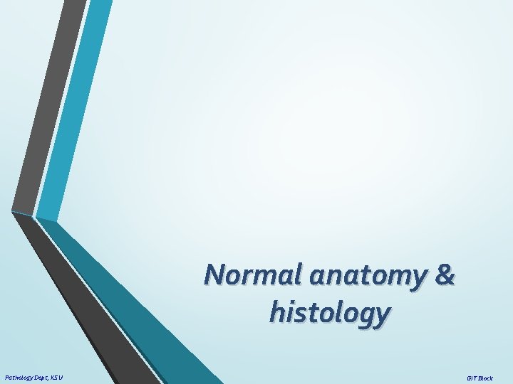 Normal anatomy & histology Pathology Dept, KSU GIT Block 