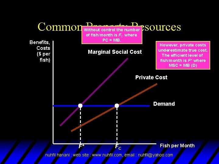 Common Property Resources Benefits, Costs ($ per fish) Without control the number of fish/month