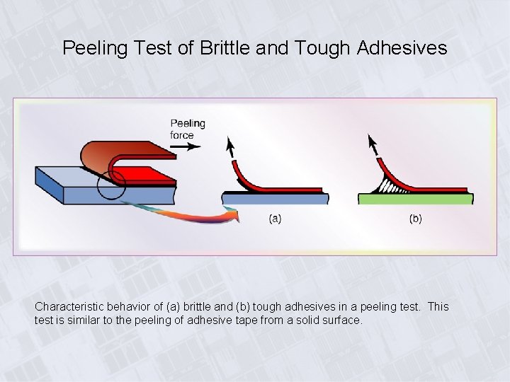 Peeling Test of Brittle and Tough Adhesives Characteristic behavior of (a) brittle and (b)