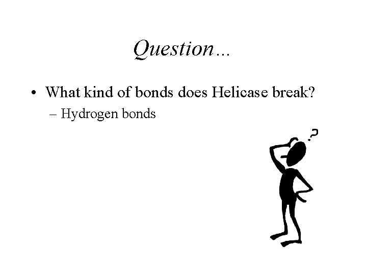 Question… • What kind of bonds does Helicase break? – Hydrogen bonds 