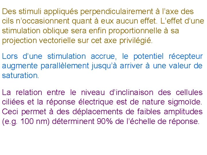 Des stimuli appliqués perpendiculairement à l’axe des cils n’occasionnent quant à eux aucun effet.