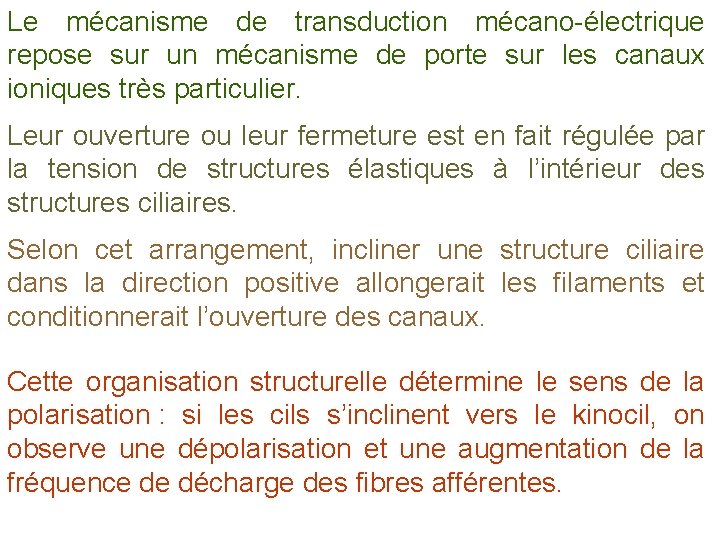 Le mécanisme de transduction mécano-électrique repose sur un mécanisme de porte sur les canaux