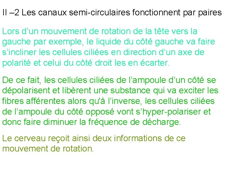II – 2 Les canaux semi-circulaires fonctionnent par paires Lors d’un mouvement de rotation