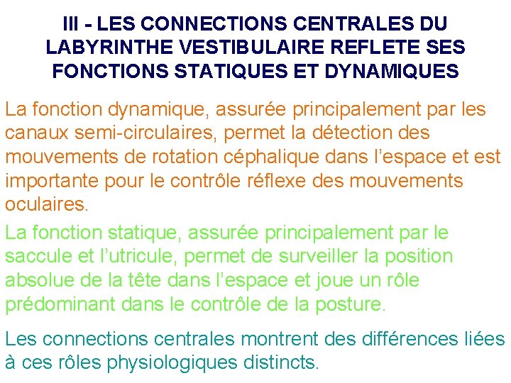 III - LES CONNECTIONS CENTRALES DU LABYRINTHE VESTIBULAIRE REFLETE SES FONCTIONS STATIQUES ET DYNAMIQUES