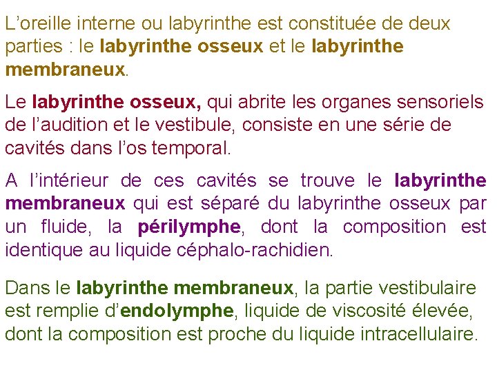L’oreille interne ou labyrinthe est constituée de deux parties : le labyrinthe osseux et