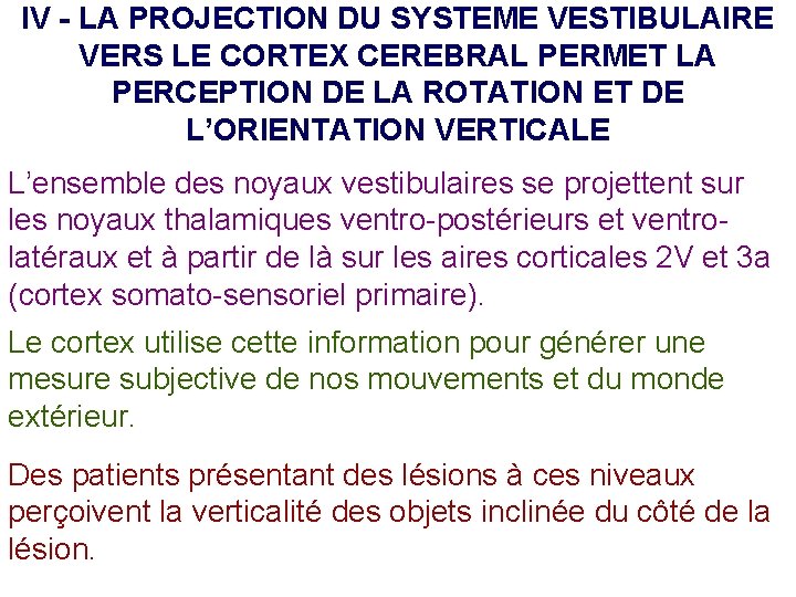IV - LA PROJECTION DU SYSTEME VESTIBULAIRE VERS LE CORTEX CEREBRAL PERMET LA PERCEPTION