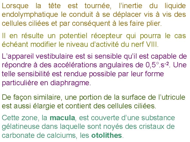 Lorsque la tête est tournée, l’inertie du liquide endolymphatique le conduit à se déplacer