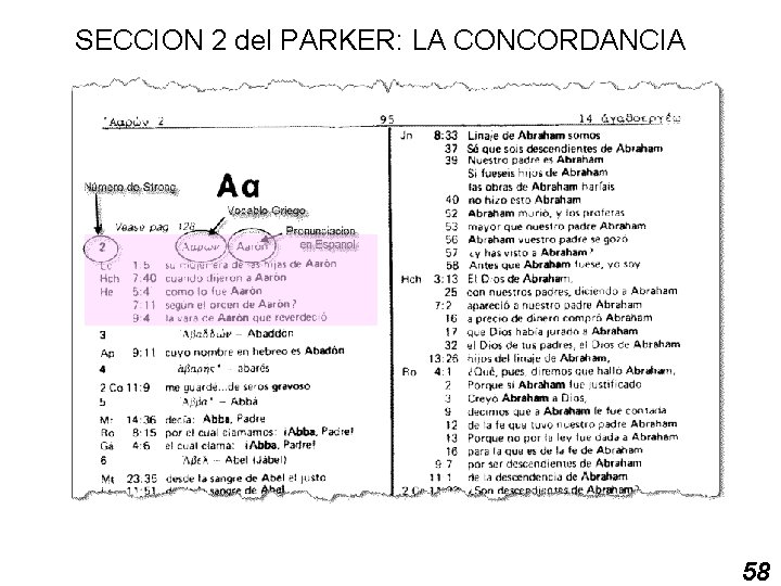 SECCION 2 del PARKER: LA CONCORDANCIA 58 