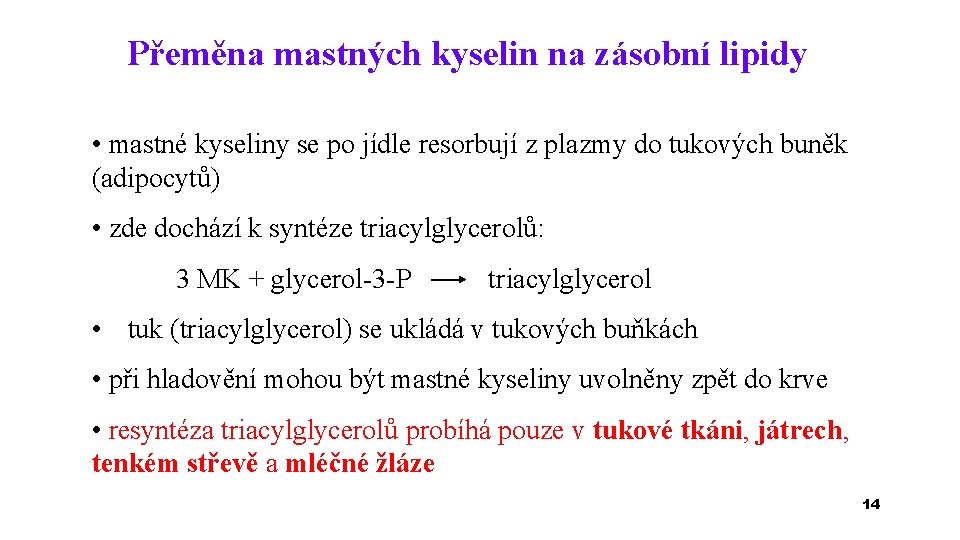 Přeměna mastných kyselin na zásobní lipidy • mastné kyseliny se po jídle resorbují z